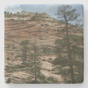 Abgenutzte Felsmauern im Zion-Nationalpark Steinuntersetzer