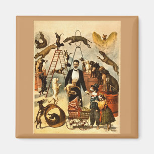 Abgerichteter Hund Akt 1899 - Vintage Zirkusplakat Magnet