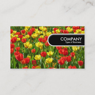 Abgerundete Kante Tag - Meer der Tulpen III