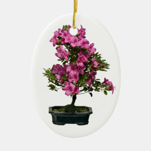 Abgeschiedener Bonsai-Rhododendron blühend Keramikornament