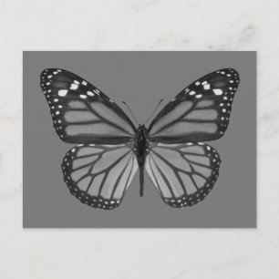 Abgeschiedener Monarchschmetterling PNG Postkarte