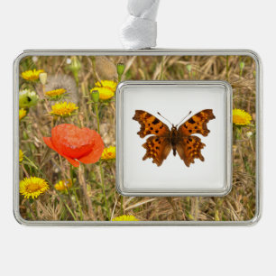 Abgeschiedenes Commandschmetterling Postkarte Post Rahmen-Ornament Silber