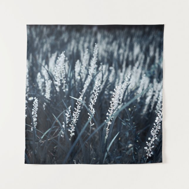 ABGESCHLOSSENE FOTOGRAFIE DER GRÜNGELEITETEN PFLAN WANDTEPPICH (Vorderseite)