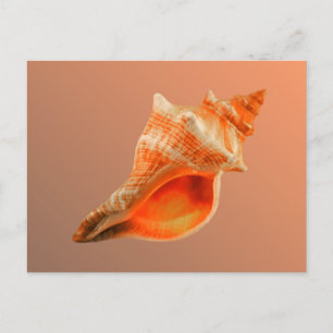 Abgestreifter Fox Postkarte