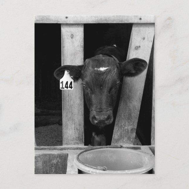 abgewöhnt postkarte (Vorderseite)