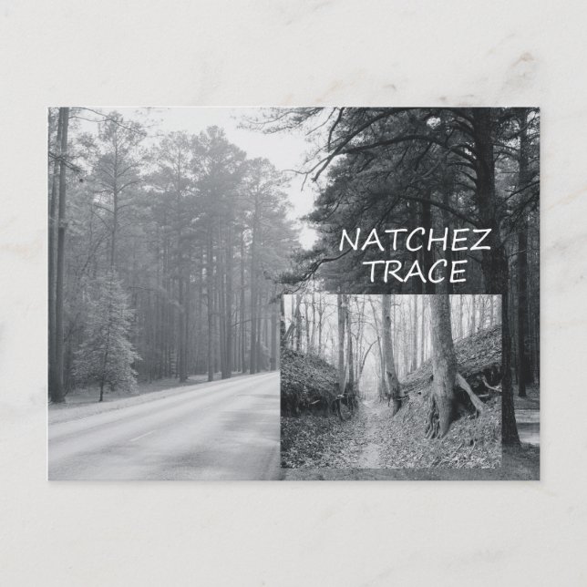 ABH Natchez Trace Postkarte (Vorderseite)