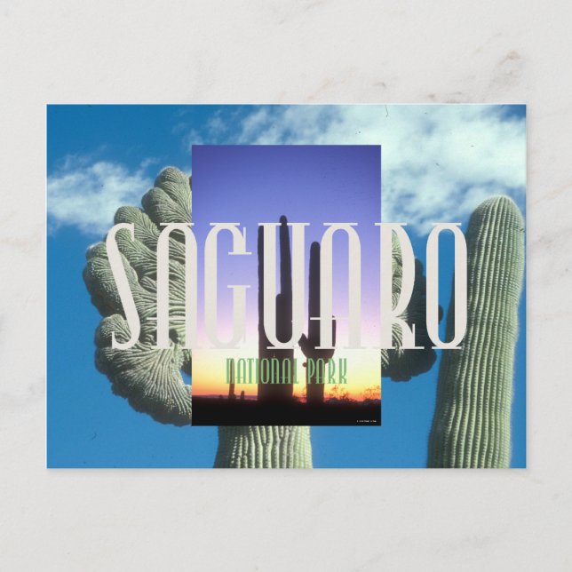 ABH Saguaro Postkarte (Vorderseite)