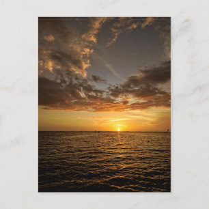 Abkühlen in der Florida Sunset Postkarte