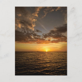 Abkühlen in der Florida Sunset Postkarte