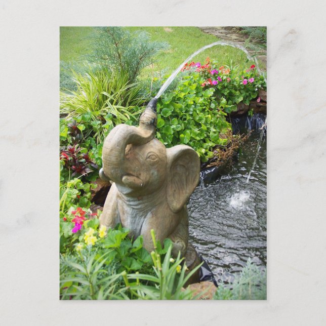 Abkühlung der Postkarte (Vorderseite)