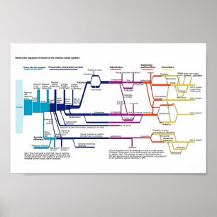 Ablaufdiagramm des amerikanischen Strafjustizsyste Poster
