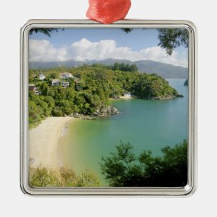 Able Tasman NP, Nelson, Neuseeland. Die vielen Silbernes Ornament