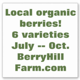 Abnehmbares weißes Vinyl, Werbeaktion Aufkleber