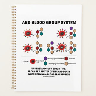 ABO Blutgruppe System versteht Bluttyp Planer