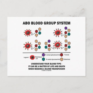 ABO Blutgruppe System versteht Bluttyp Postkarte
