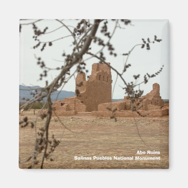 Abo RuinsSalinas Pueblos National Mon... Magnet (Vorne)