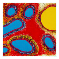 Aborigine-Abstrakt Art Vol. 12