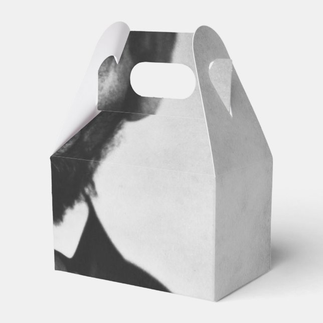 Abraham Lincoln Portrait Geschenkschachtel (Vorderseite)