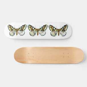 Abraxas grossulariata The Magpie Moth Color Image Skateboard
