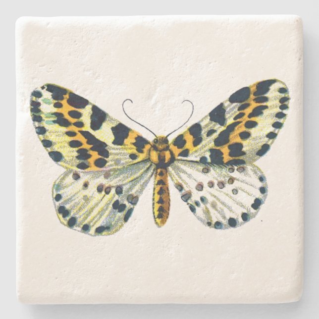 Abraxas grossulariata The Magpie Moth Color Image Steinuntersetzer (Vorderseite)