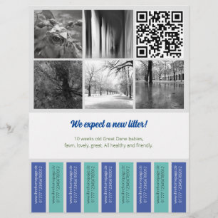 Abreißflyer Welpen verkaufen blau grün Flyer