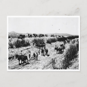 Abriss des Kanals von Arizona Postkarte