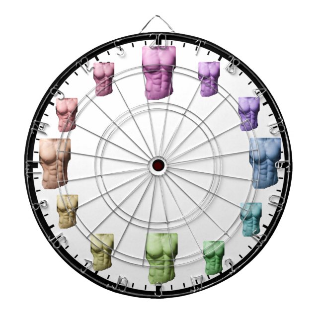 Abs Dartboard Dartscheibe (vorne)