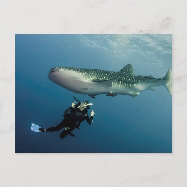 Absaugen für Abdeckung? Postkarte (Vorderseite)