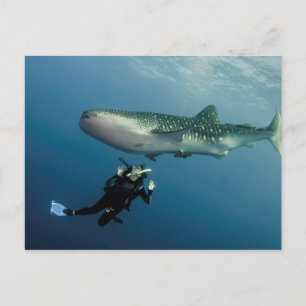 Absaugen für Abdeckung? Postkarte