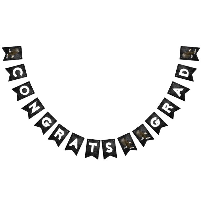 Abschluss 2025 Adler auf Leder Wimpelkette (Alle)