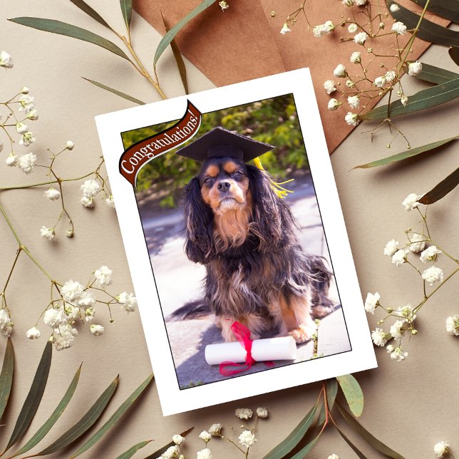 Abschluss aus der Tierärzteschülerkarte Karte (Von Creator hochgeladen)