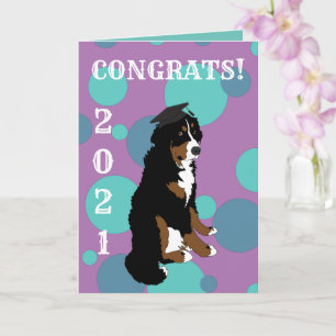 Abschluss Bernese Mountain Dog Karte