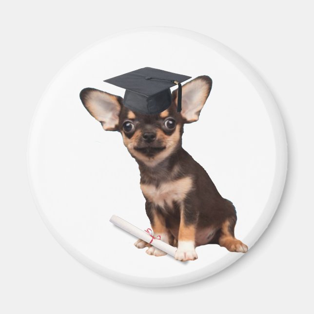 Abschluss Chihuahua Magnet (Vorne)
