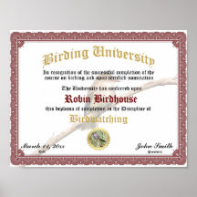 Abschluss der Vogelbeobachtung