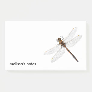 Abschluss einer Darner Dragonfly aus Kanada Post-it Klebezettel