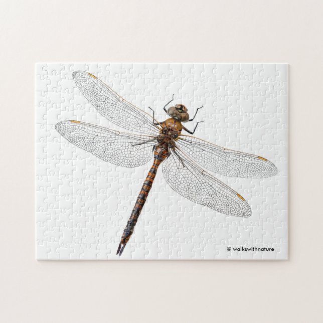 Abschluss einer Darner Dragonfly aus Kanada Puzzle (Horizontal)