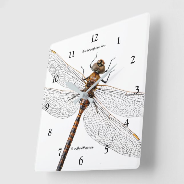Abschluss einer Darner Dragonfly aus Kanada Quadratische Wanduhr (Winkel)
