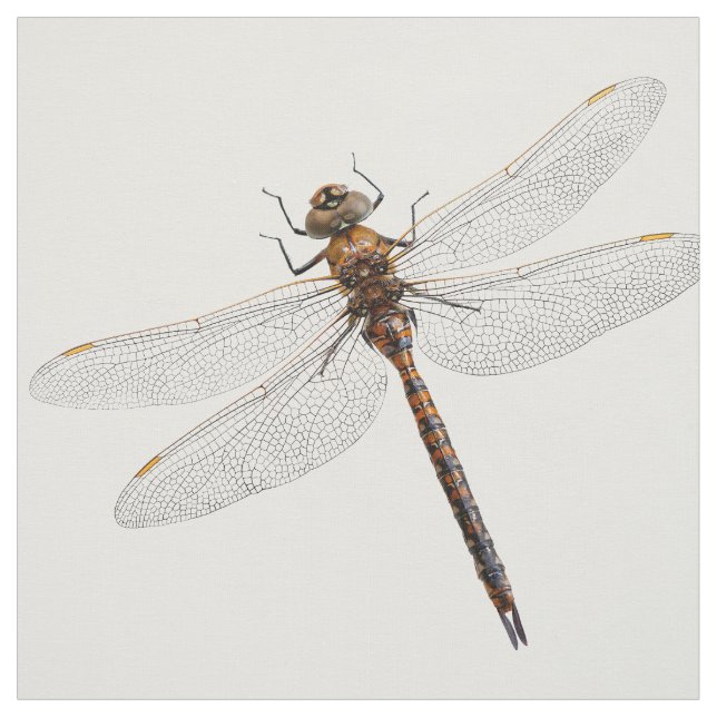Abschluss einer Darner Dragonfly aus Kanada Stoff (Muster)