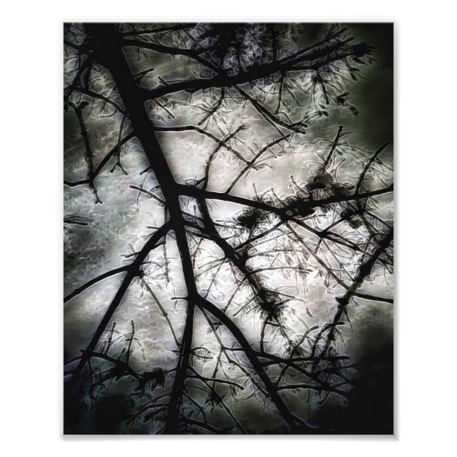 Abschluss Fotodruck (Vorne)