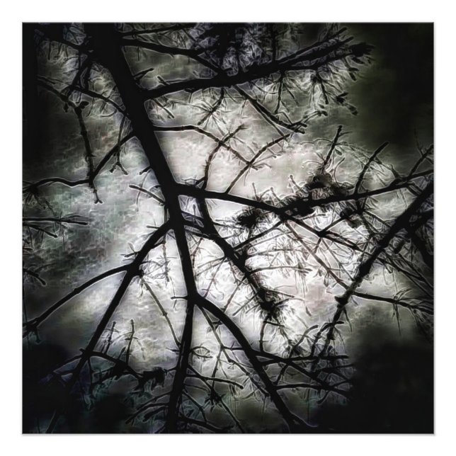 Abschluss Fotodruck (Vorne)