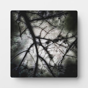 Abschluss Fotoplatte