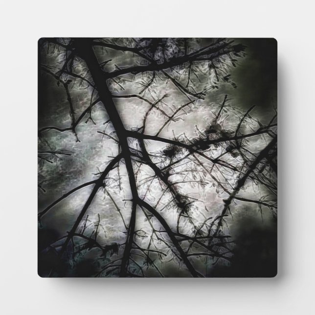 Abschluss Fotoplatte (Vorderseite)