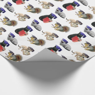 Abschluss Geschenkpapier