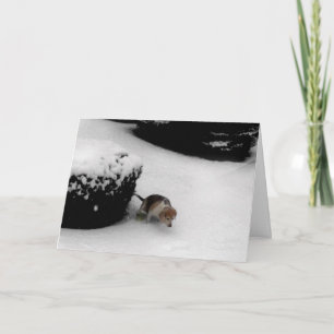 Abschluss-GRATULATIONS-KARTE Karte