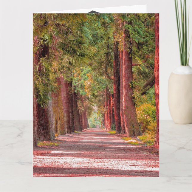 Abschluss-Karte Karte (Vorderseite)