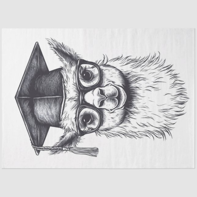 Abschluss Llama Seidenpapier (Vorderseite)