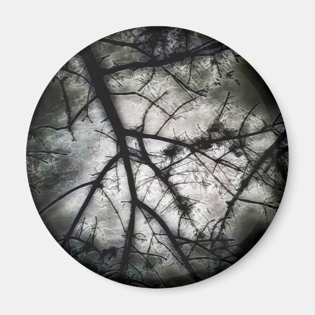 Abschluss Magnet (Vorne)