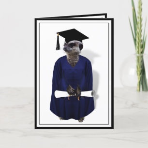Abschluss Meerkat Graduate Karte