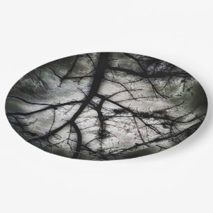 Abschluss Pappteller