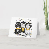 Abschluss Shih Tzu Dogs
